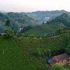 images-21