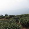 img_1922