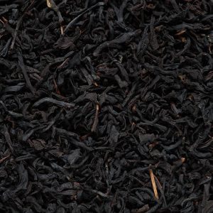 nilgiri