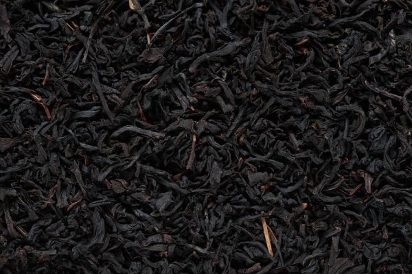 nilgiri