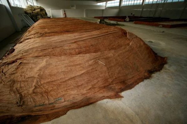 pu-erh-gyartas