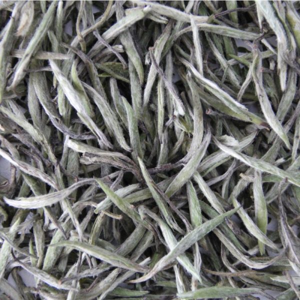 yin-zhen